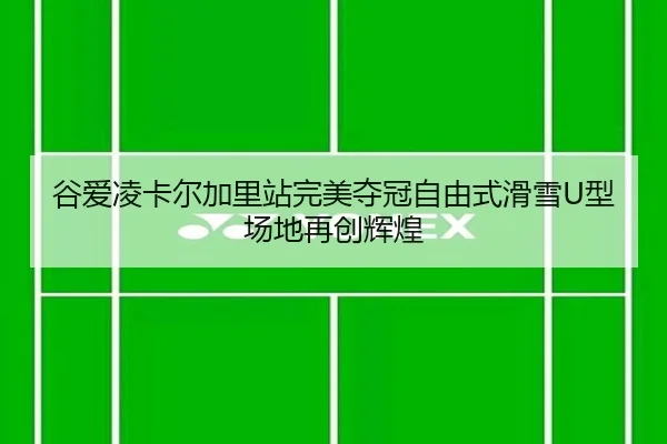 gu-ai-ling-ka-er-jia-li-zhan-wan-mei-duo-guan-zi-you-shi-hua-xue-xing-chang-di-zai-chuang-hui-huang-2-992.jpg